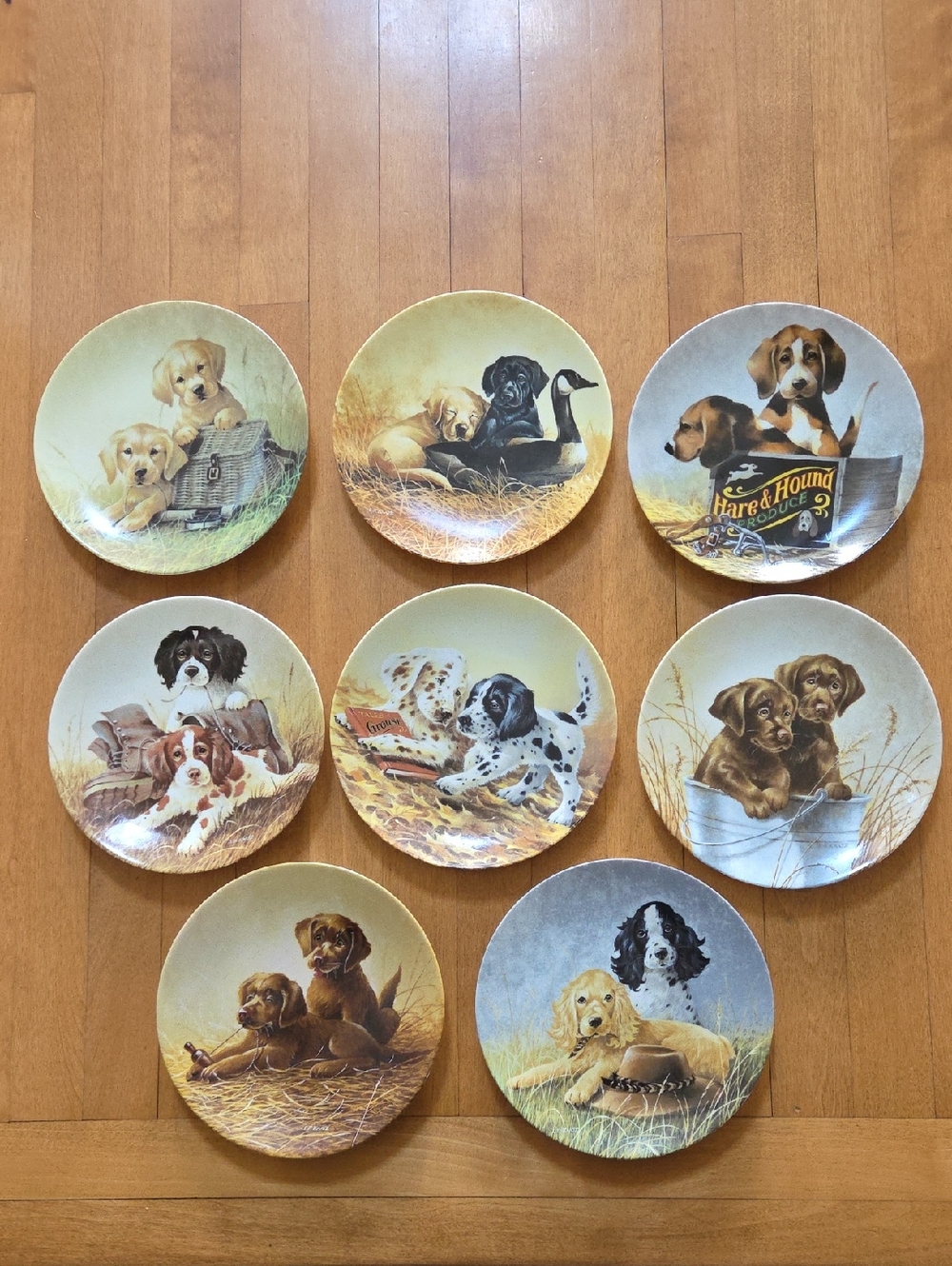 Set Of 8 Edwin Knowles FIELD TRIPS Collector Plates By Lynn KAATZ Dogs puppies